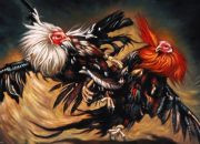 Sabung Ayam di Talango Makin Terang-Terangan, Warga Nilai APH Tutup Mata