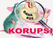 LSM GNRI Kabupaten Bekasi Soroti Dugaan Realisasi Fiktif Dana BOS di SDN Sukadarma 02