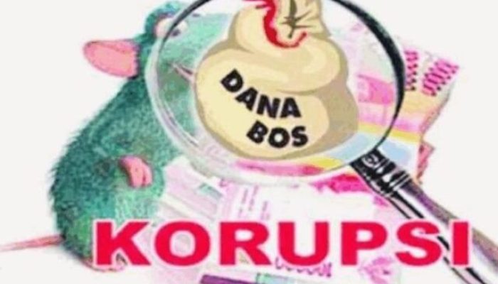 LSM GNRI Kabupaten Bekasi Soroti Dugaan Realisasi Fiktif Dana BOS di SDN Sukadarma 02
