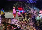 Polisi, BPBD dan Warga Sigap Evakuasi Pohon Tumbang Tutup Total Jalur Tembus Sarangan