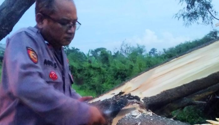 Respon Cepat, Anggota Polsek Cikarang Timur Evakuasi Pohon Tumbang di Jalur Pantura