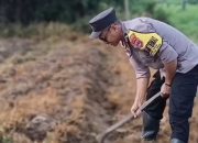 Kapolsek Beruntung Baru Hadiri Kegiatan Tanam Jagung Pupil di Cempaka