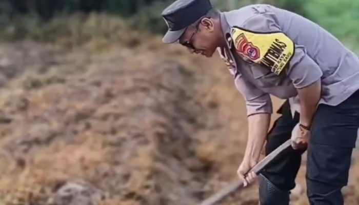 Kapolsek Beruntung Baru Hadiri Kegiatan Tanam Jagung Pupil di Cempaka