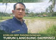 Ahmad Molyono Korluh Pasongsongan Turun Langsung Dampingi Penanaman Padi di Desa Rajun
