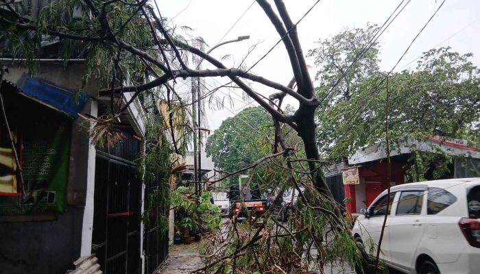 Hujan Deras dan Angin Kencang Tumbangkan Pohon di Bandung.