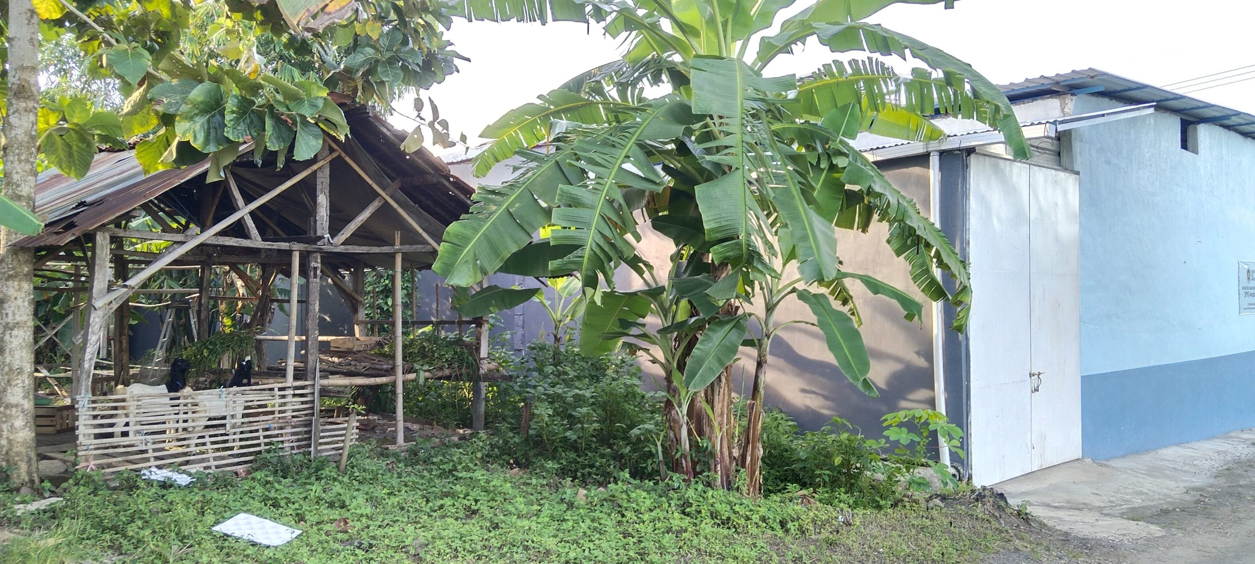 Satuan pelayanan pemenuhan gizi (Sppg ) aengbajaraja, Yayasan Al Azhar 3 (foto : Fay )