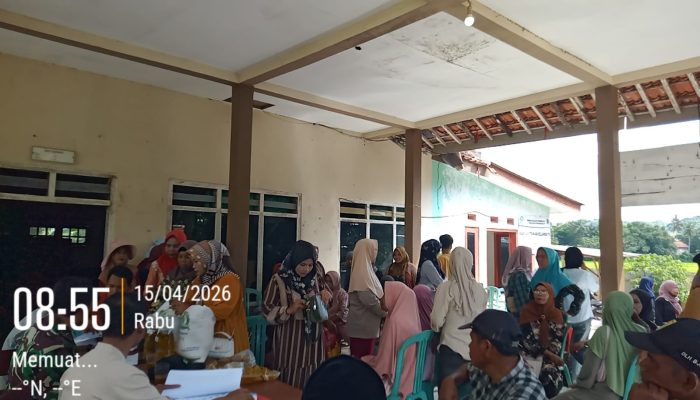 Cacat Etika! Jual Beli Beras Bantuan Terang-terangan di Halaman Balai Desa Kolo Kolo