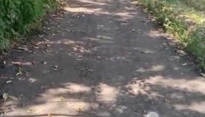 Diduga Milik Mantan Kades dan Anggota DPRD, Pengaspalan di Karangnangka Tak Ada Papan Informasi