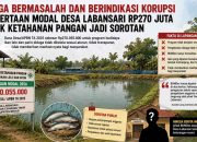 Anggaran Penyertaan Modal Desa Labansari Rp.270 Juta Lebih Dari Dana Desa APBN TA 2025 Diduga Bermasalah dan Berindikasi Korupsi