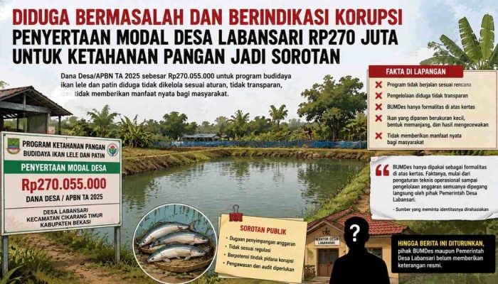 Anggaran Penyertaan Modal Desa Labansari Rp.270 Juta Lebih Dari Dana Desa APBN TA 2025 Diduga Bermasalah dan Berindikasi Korupsi