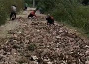 Jalan Poros Kangean Rusak Parah: Ibu Hamil Melahirkan di Jalan Meninggal Sebelum Tiba di Rumah Sakit
