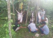 PC Muhammadiyah Ranting Gandusari Gelar Sholat Idul Adha 1447 H Bersama Warga Trenggalek