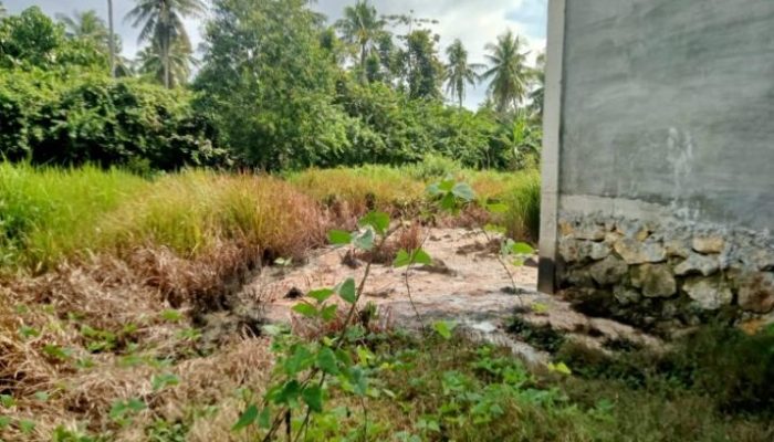Warga Desa Arjasa Kecamatan Arjasa Kangean Keluhkan Bau Busuk Menyengat dari Limbah SPPG Yayasan Nurul Islam laok jang-jang