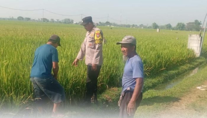 Polisi Hadir di Tengah Petani, Wujud Dukungan untuk Ketahanan Pangan Nasional