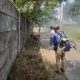 Sinergitas Tanpa Batas, Pemdes dan BPD Tanjungbaru Gotong Royong Bersihkan Tanaman Dan Rumput Liar Di Sepanjang Jalur Rawa Gebang. 