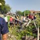 Antisipasi Banjir Pemdes Tanjungbaru dan Warga Gelar Kerja Bakti. Kompak Bersihkan Saluran Irigasi.