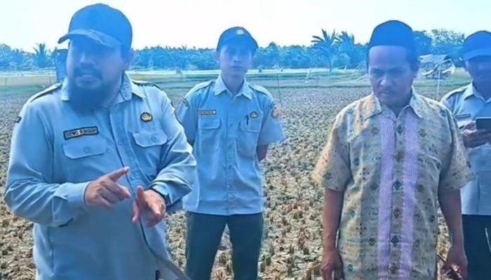 Kecamatan Dungkek Jadi Lokasi Percontohan PM‑AAS, Tim Kerja Kabupaten Sumenep Mulai Sosialisasikan Teknologi Pertanian Modern