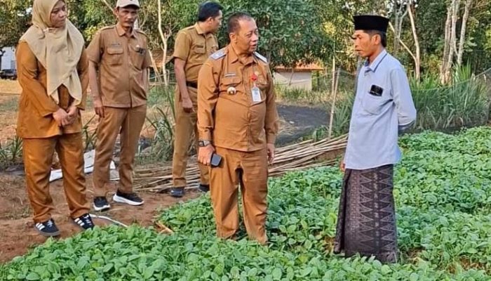 Kepala DKPP Sumenep Monev Pembibitan Tembakau Prancak 95, Pastikan Kualitas Unggul Jaga Reputasi Komoditas Andalan