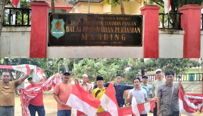 Semarak Kemerdekaan, BPP dan Gapoktan Kecamatan Manding Pasang Umbul-Umbul, Wujud Cinta Tanah Air