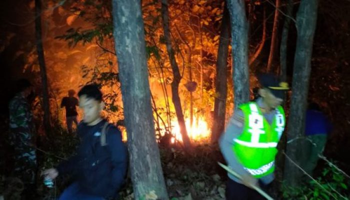 Karhutla di Lereng Gunung Bancak, Polsek Kawedanan Bersama TNI, BPBD dan Warga Berjibaku Padamkan Api hingga Malam8