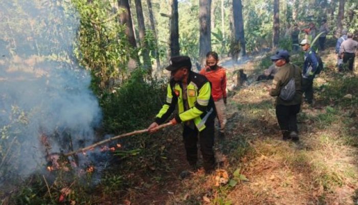 Gerak Cepat Cegah Api Meluas, Polisi, Perhutani dan Warga Padamkan Karhutla di Sarangan