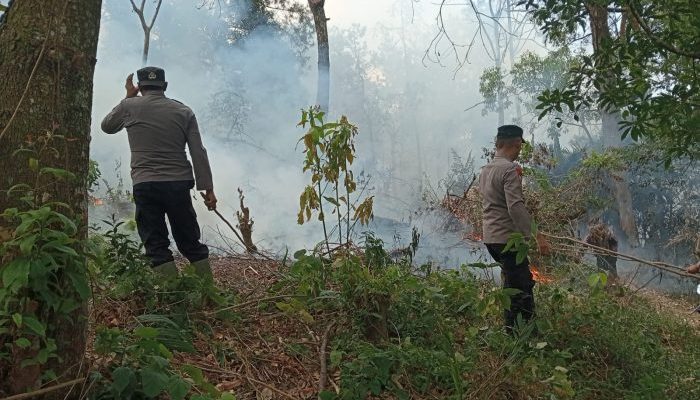 Gerak Cepat Tangani Karhutla di Petak 66 Lereng Lawu, Polisi-TNI-Perhutani dan Warga Gotong Royong Padamkan Api