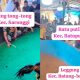 Sabung Ayam di Kabupaten Sumenep Makin Marak dan Terang-Terangan, Warga Meminta APH Jangan Tutup Mata