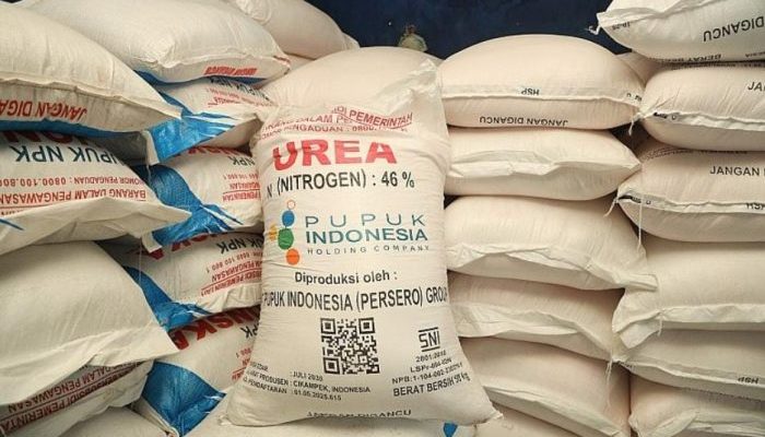 Petani Sumenep Mulai Resah,Tidak Masuk Poktan Pupuk Subsidi Jenis Urea & Ponska Tak Bisa Didapat
