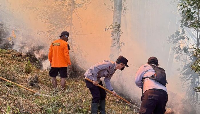 Gerak Cepat Polisi, TNI, BPBD dan Warga Padamkan Kebakaran Bambrongan di Sarangan